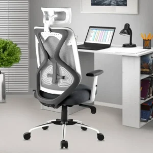 Ergonomic Office Chair